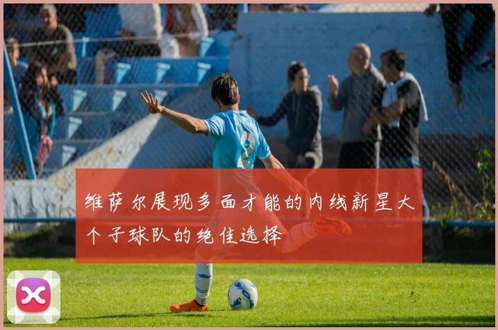 维萨尔展现多面才能的内线新星大个子球队的绝佳选择